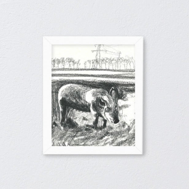 Lotte, Schwein vom Lebenshof LiPaiO, vegane Kunst, gerahmtes Poster, Kunstdruck